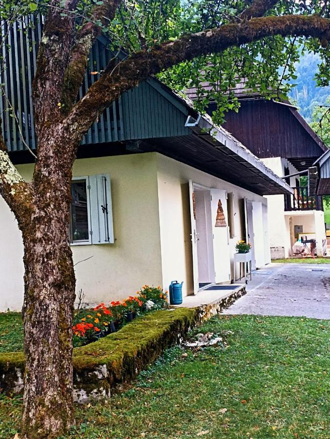 Cozy Cottage In The Heart Of The Triglav National Park Соча Екстер'єр фото