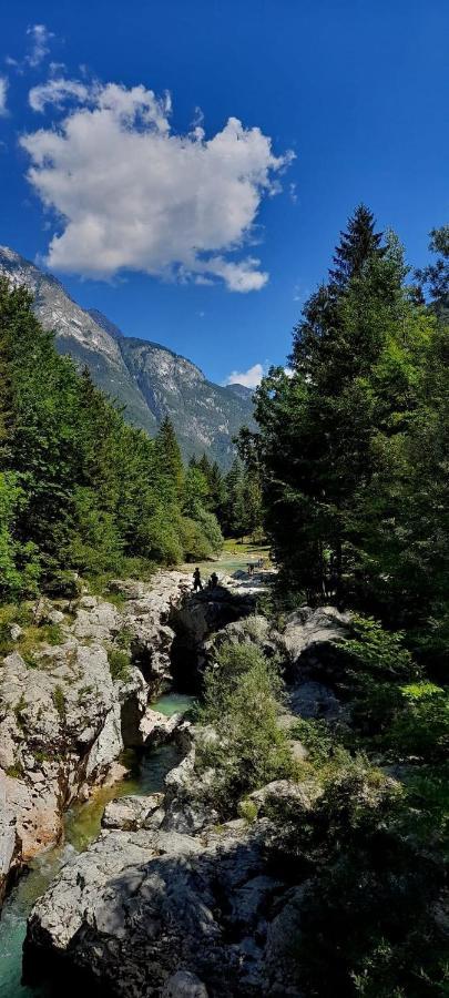Cozy Cottage In The Heart Of The Triglav National Park Соча Екстер'єр фото