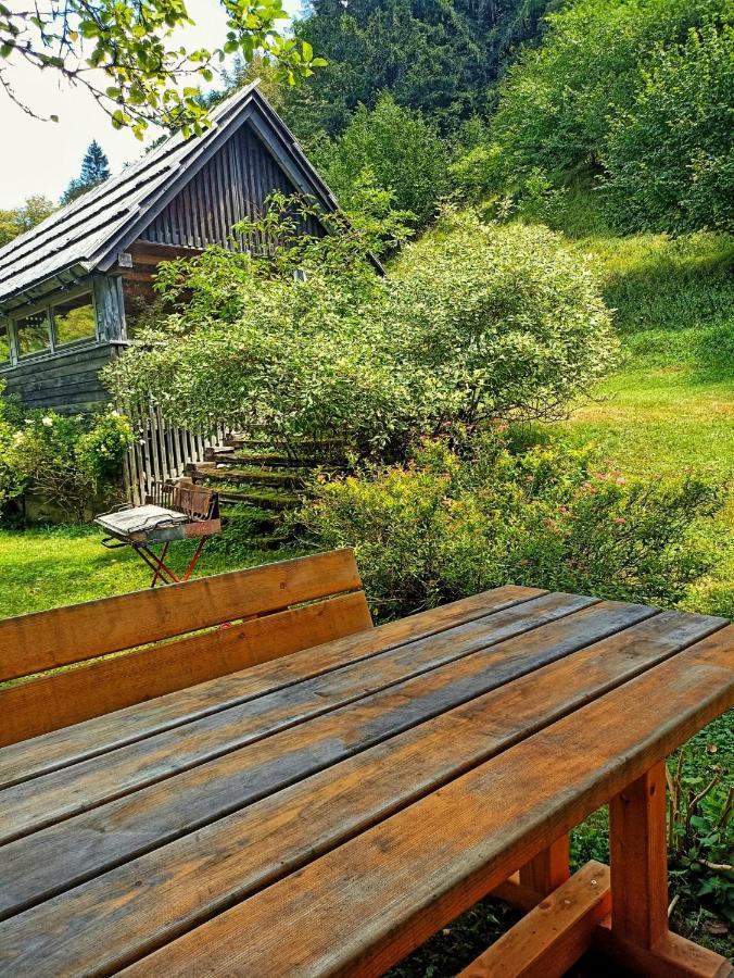 Cozy Cottage In The Heart Of The Triglav National Park Соча Екстер'єр фото